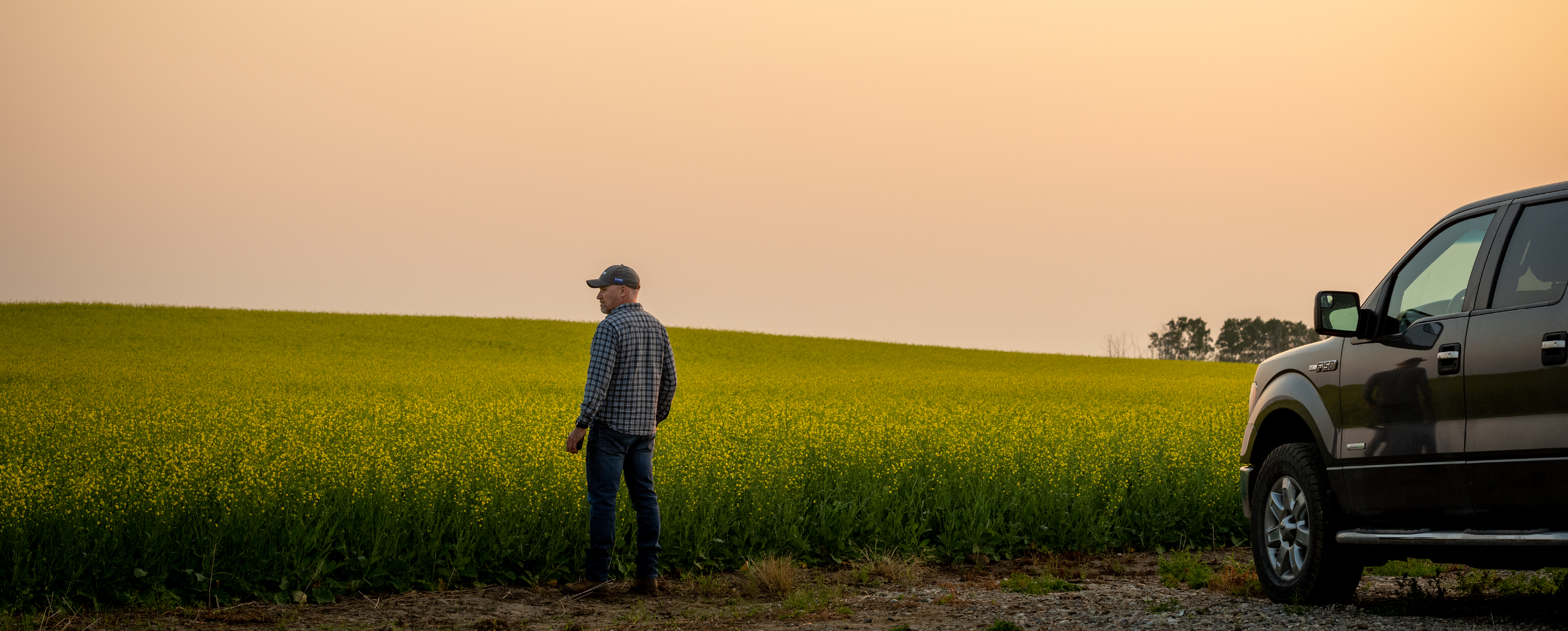 Man standing in front of a canola field