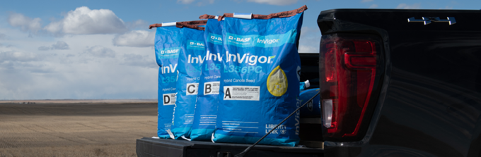 InVigor seed bags sitting at the back of a truck