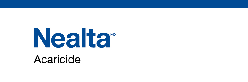 Nealta Logo