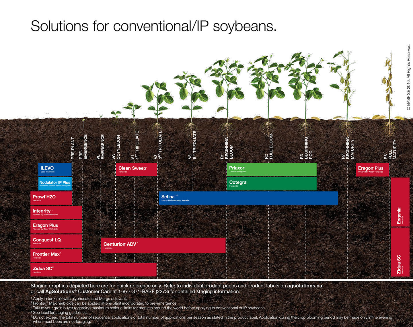 Conventional / IP Soybeans Staging Chart,Conventional / IP Soybeans Staging Chart