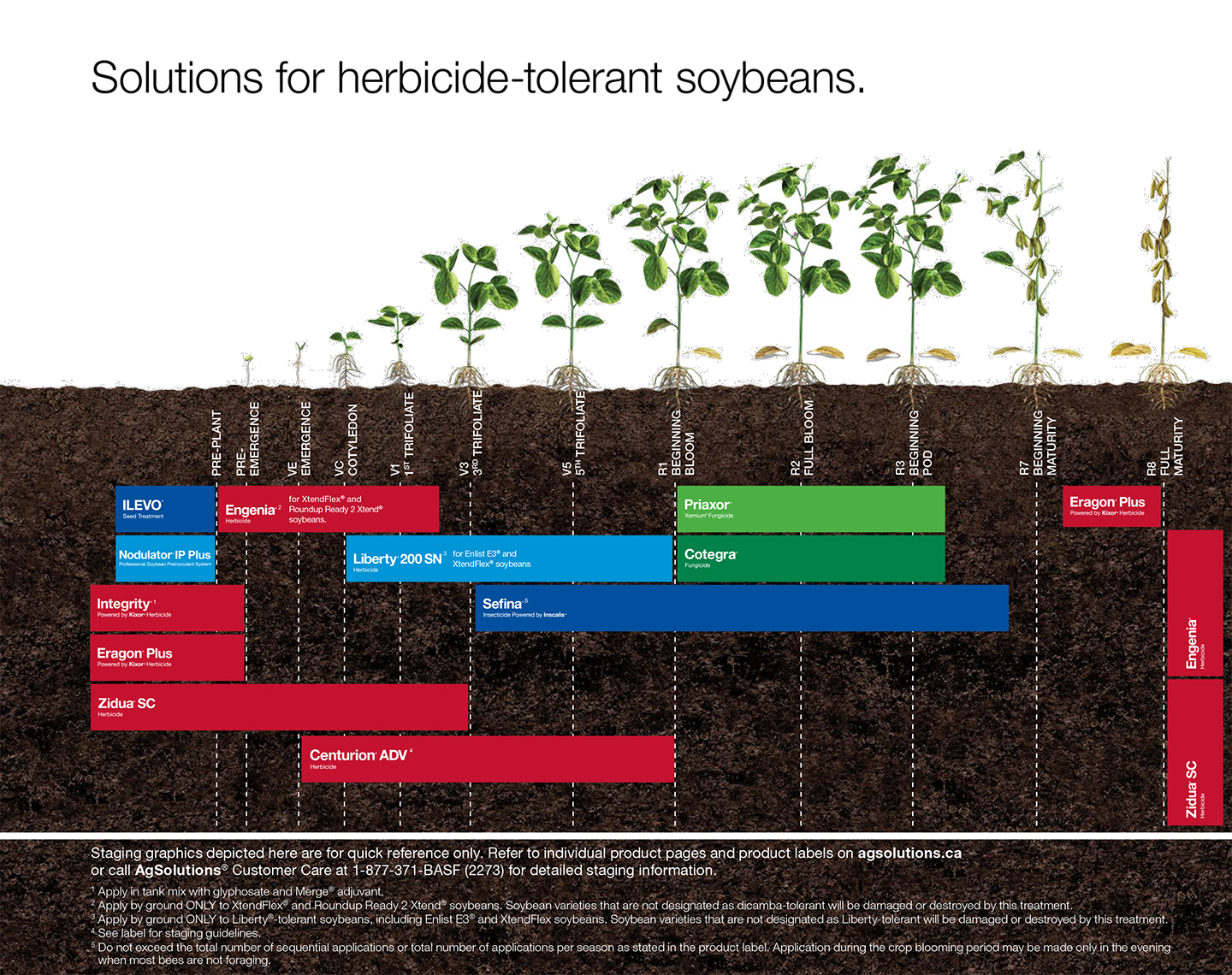 HT Soybeans Staging Chart East,HT Soybeans Staging Chart East