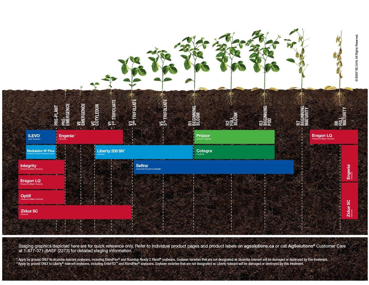 Herbicide-tolerant soybean crop staging chart