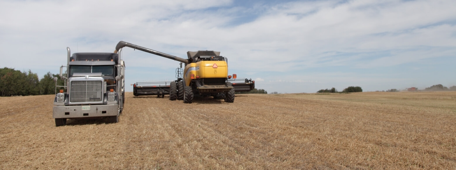 A field during harvest with a tractor loading seed into a semi-truck