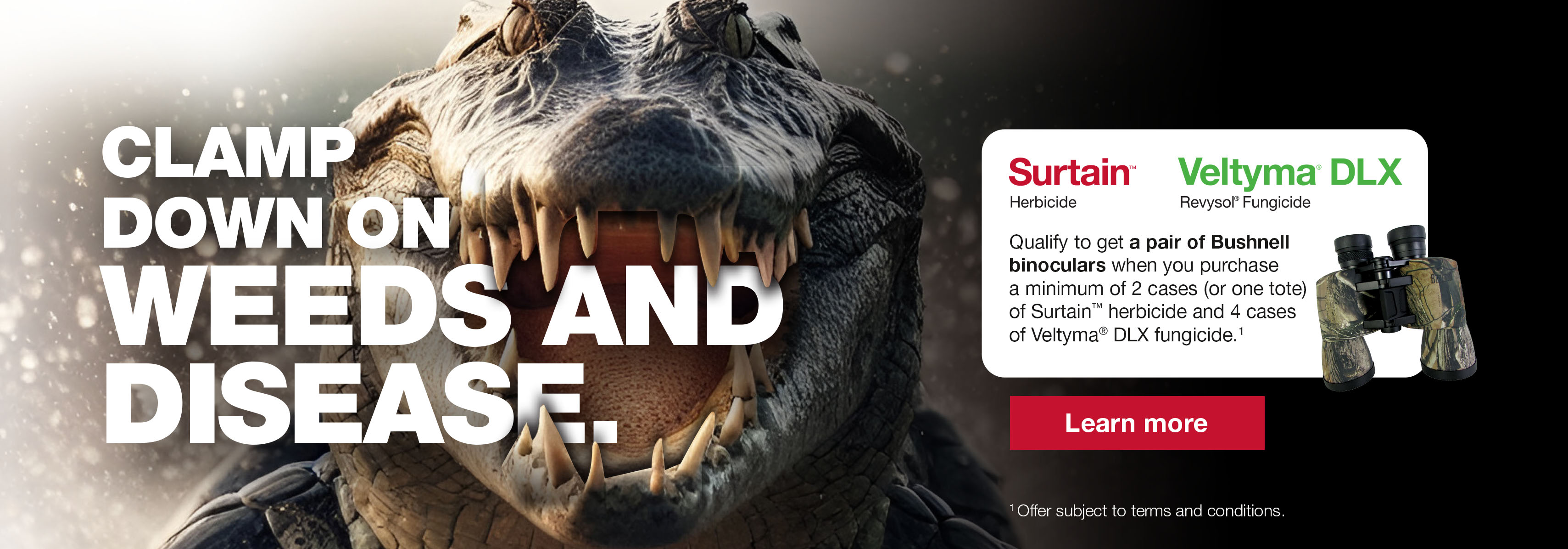 Alligator close-up with binoculars and Surtain™ and Veltyma® DLX product logos