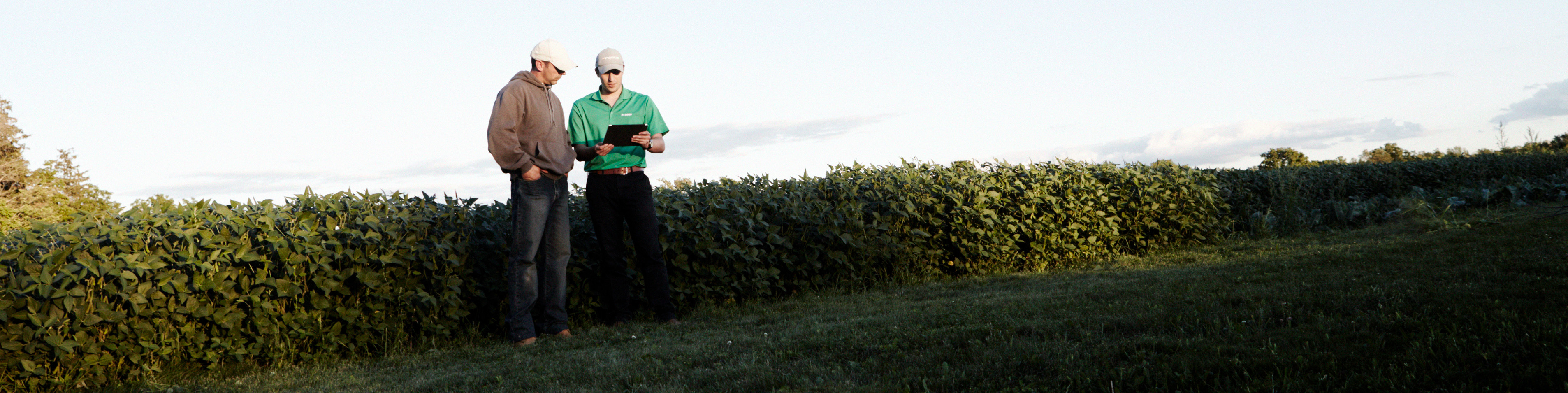 Two people in a field