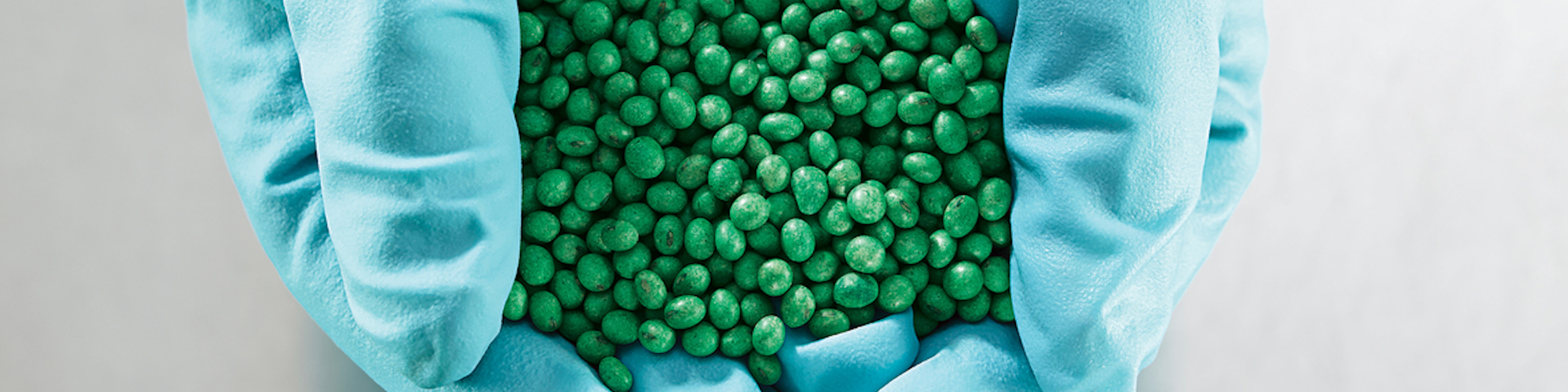 gloved hands holding green seeds