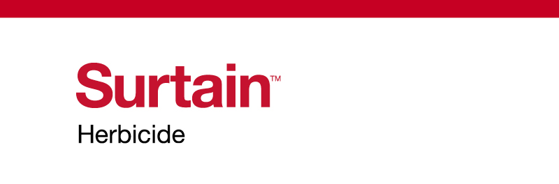 Surtain logo