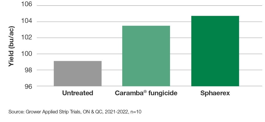 Chart: Untreated + Caramba fungicide + Sphaerex