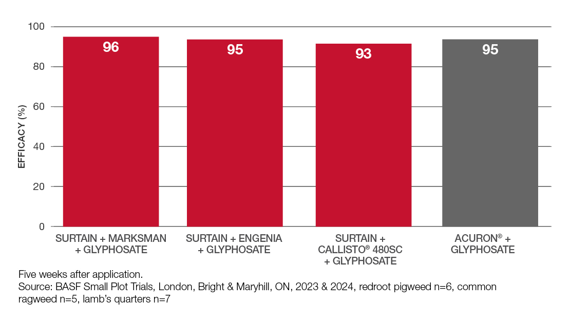 Comparison graph: Surtain + Marksman + Glyphosate vs. Surtain + Engenia + Glyphosate vs. Surtain + Callisto + Glyphosate vs. Acuron + Glyphosate