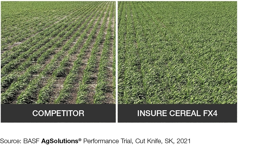 Field Comparison: Competitor + Insure Cereal FX4