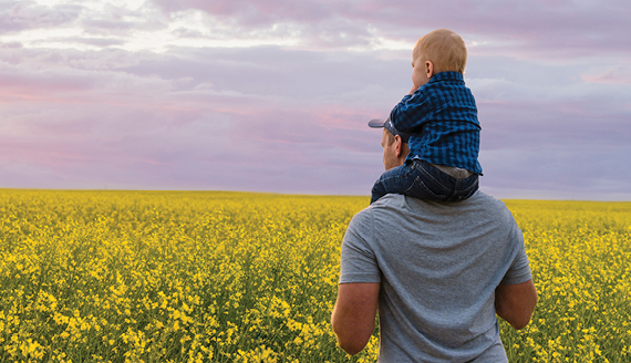 Man carrying child over his shoulders overlooking a canola field