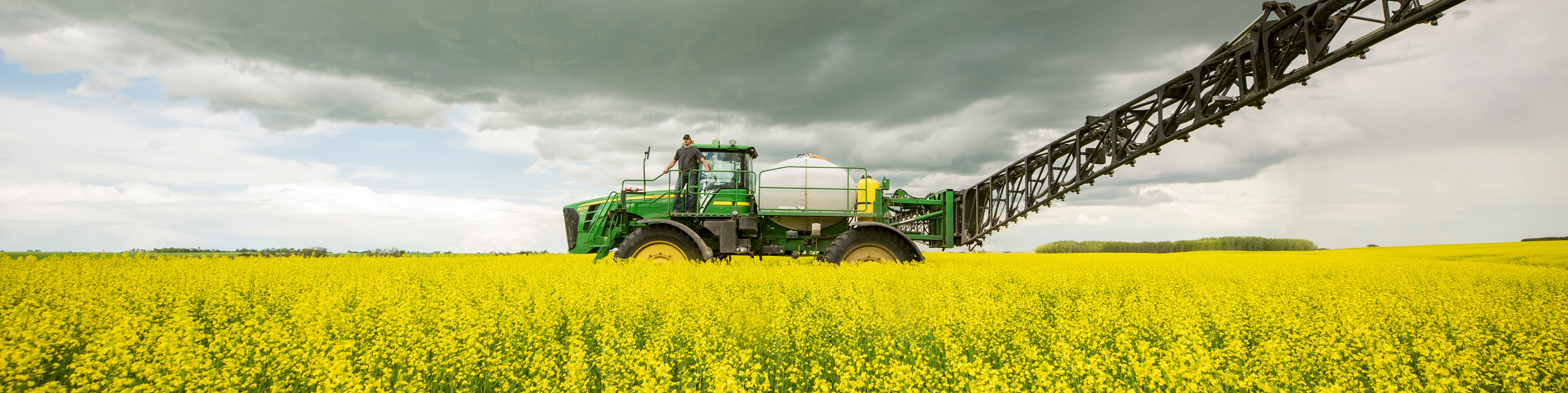 tracteur dans un champ de canola