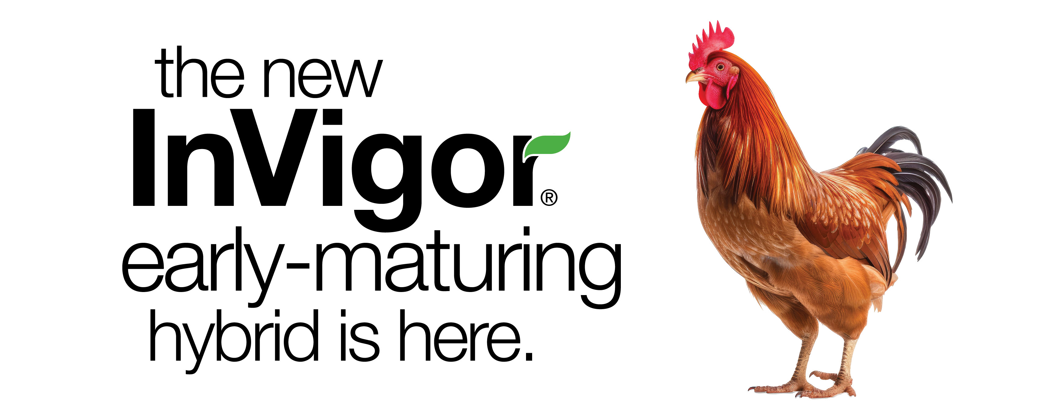 Invagor store