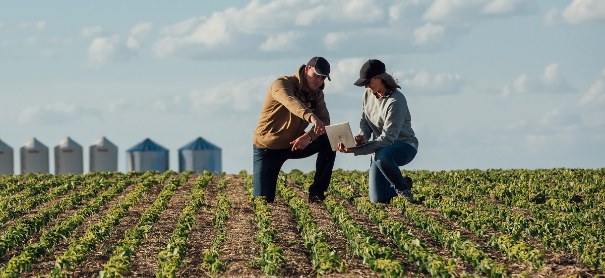 Man and a women kneeling in an field with young crop and looking at a laptop