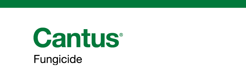 Product name - Cantus Fungicide