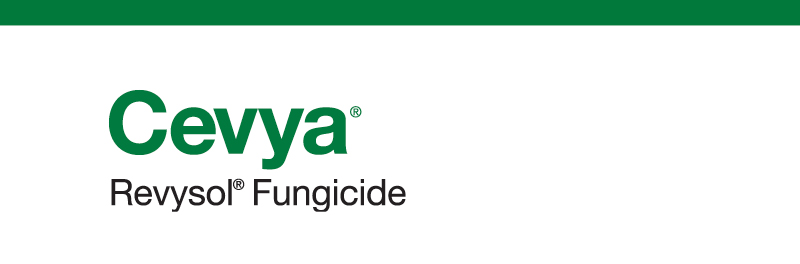 Product name - Cevya Revysol Fungicide
