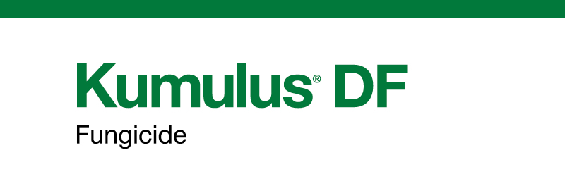 Product name - Kumulus DF Fungicide