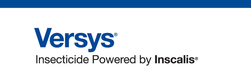product name - Versys Insecticide Powered by Inscalis