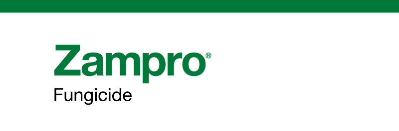 product name - Zampro Fungicide