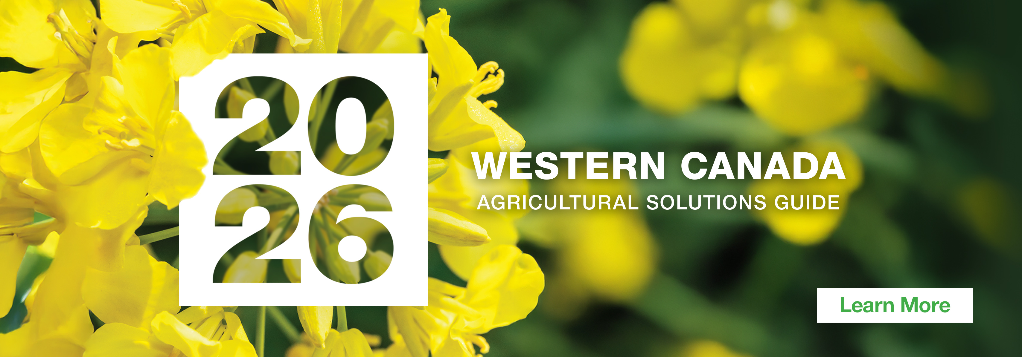 Cover with yellow canola flowers and text “2026 Western Canada Agricultural Solutions Guide,” BASF logo