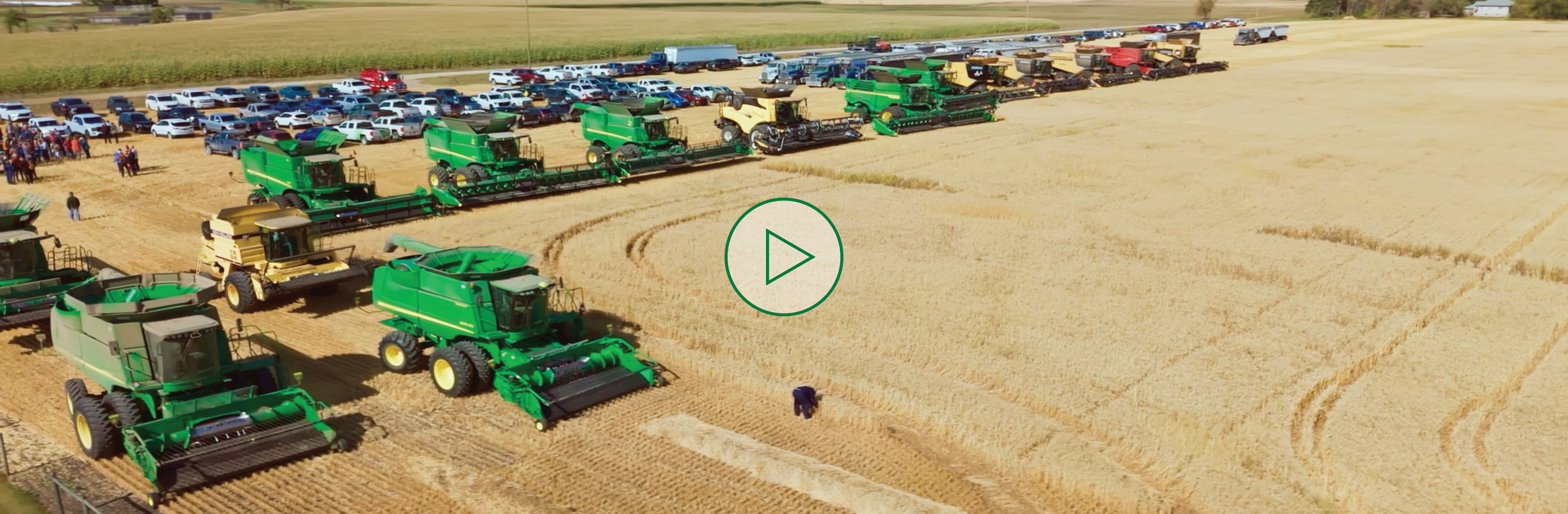 BASF Fields of Purpose wheat field at harvest, neighbours helping the community with harvest.