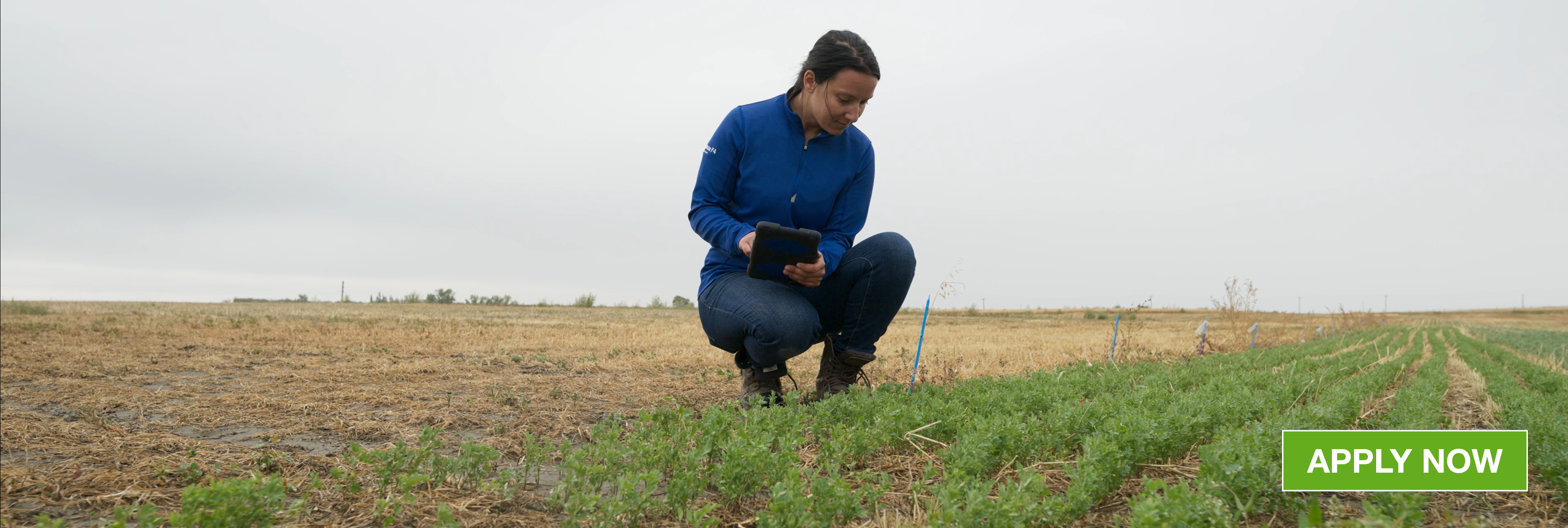 woman in a field taking notes of a young crop