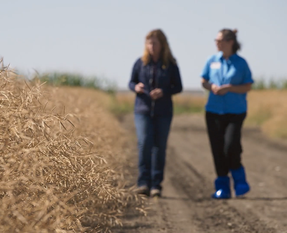 Man and woman looking at laptop in field