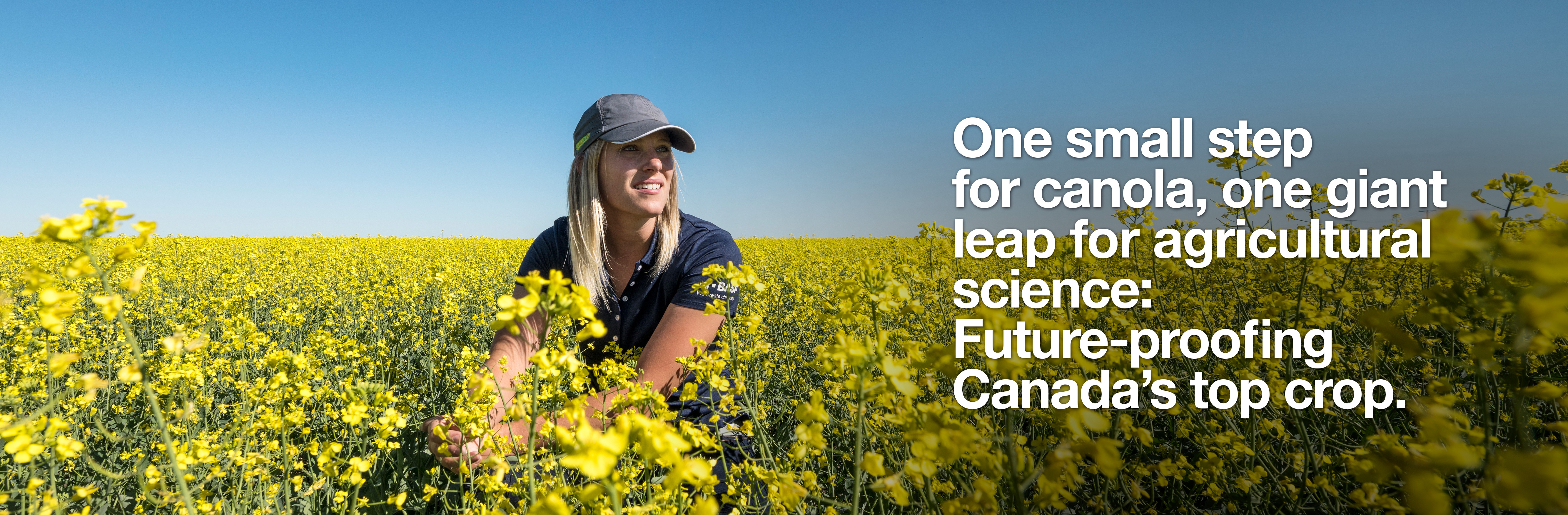 Future-proofing Canada's top crop.