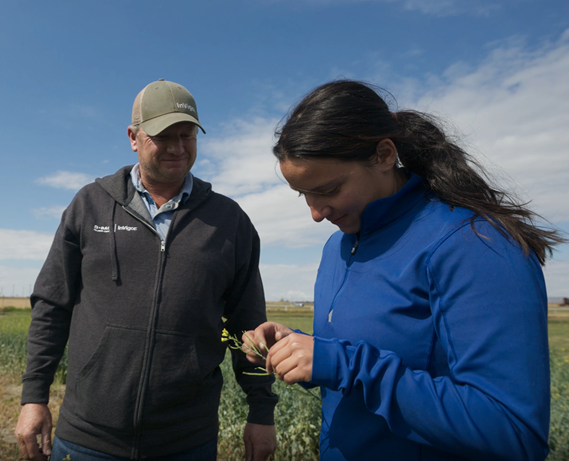 two people in a field looking at a crop