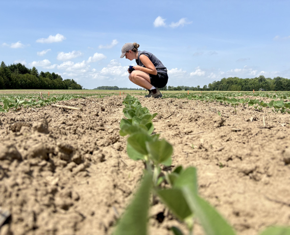 Man and woman looking at laptop in field