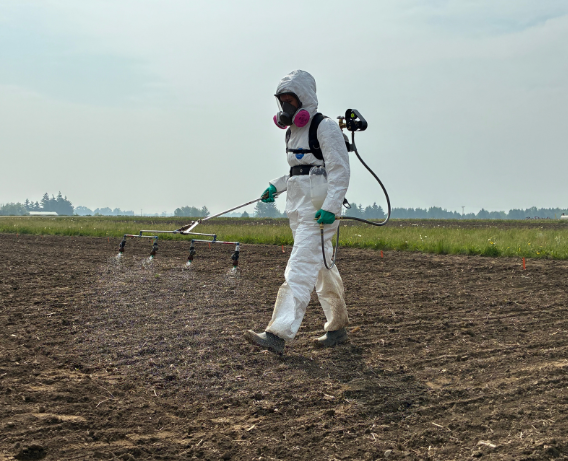 Woman spraying a farm