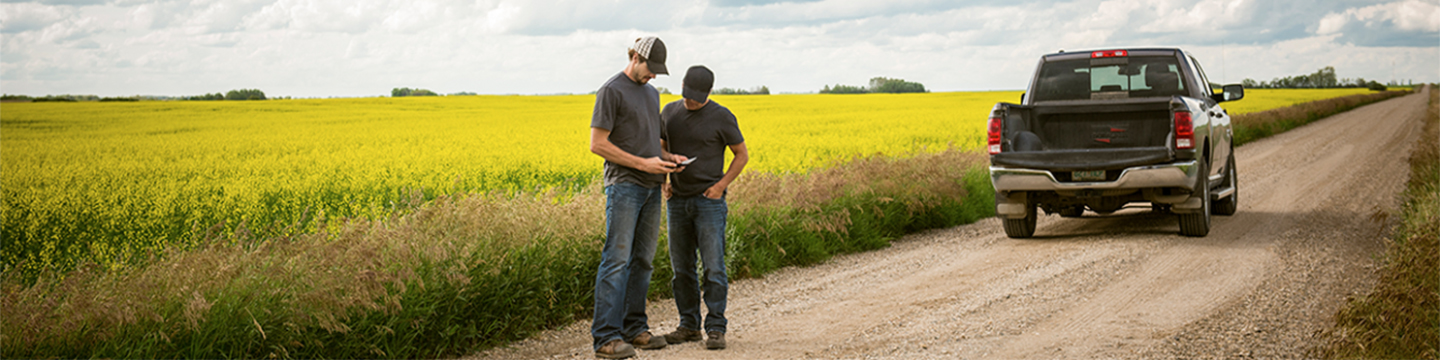 two men standing in front of a canola field looking at a mobile device