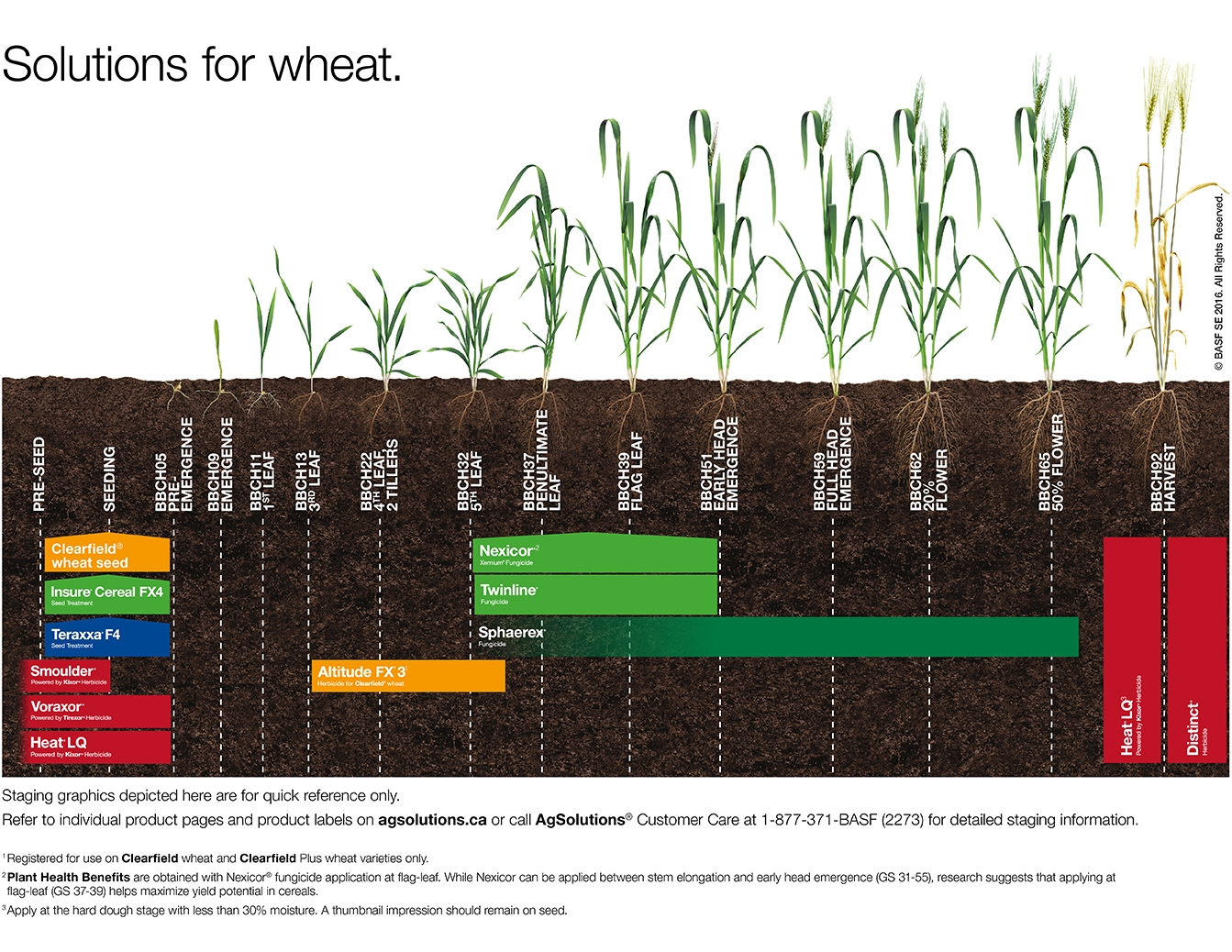 image: Wheat Staging Chart,image: Wheat Staging Chart