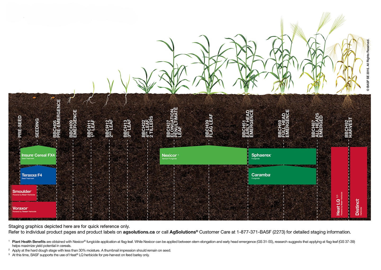 image: Barley Staging Chart,image: Barley Staging Chart