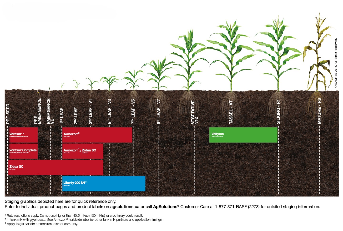 Corn Staging Chart,Corn Staging Chart