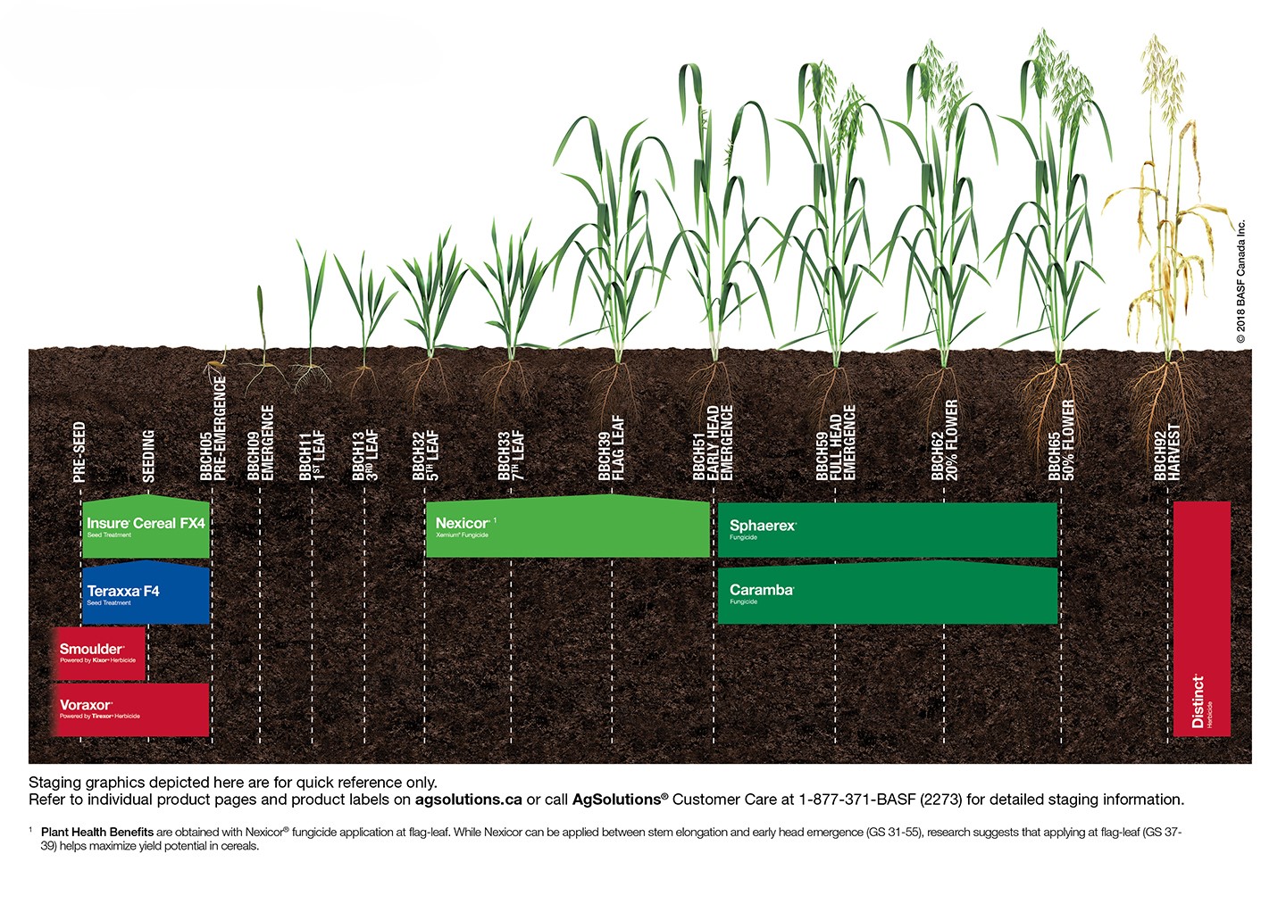 image: Solutions for Oats ,image: Solutions for Oats 