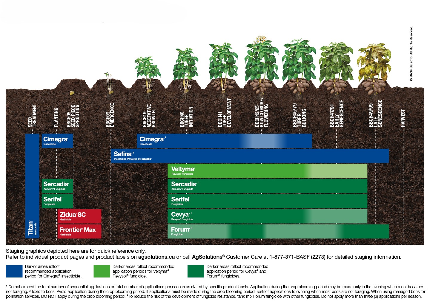 Potato staging chart,Potato staging chart