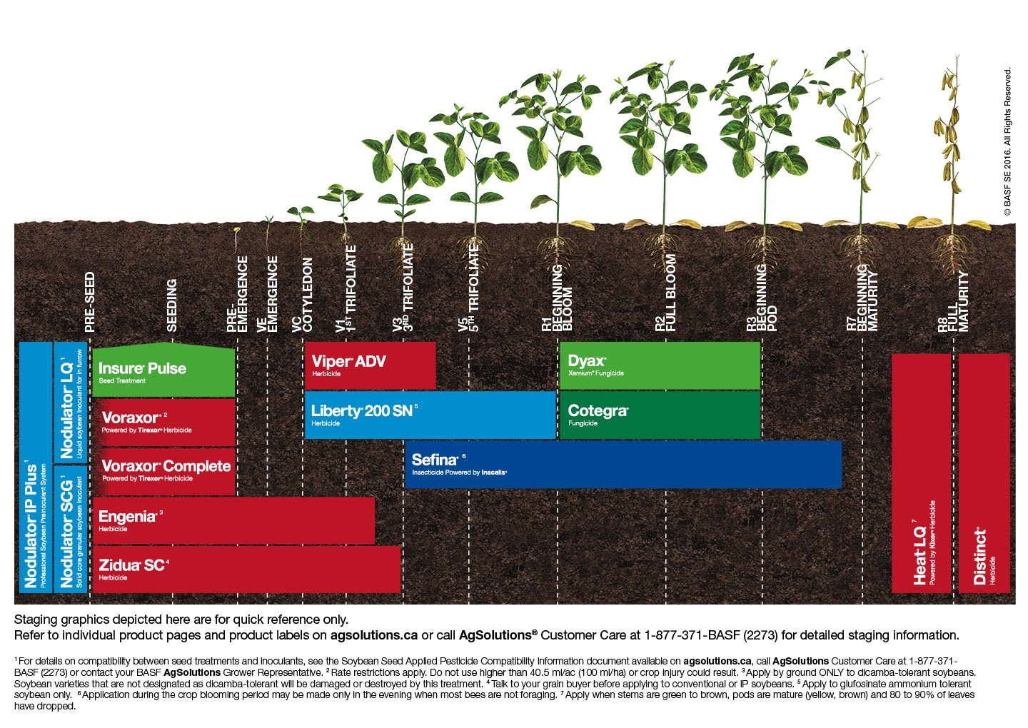 Soybeans Staging Chart,Soybeans Staging Chart