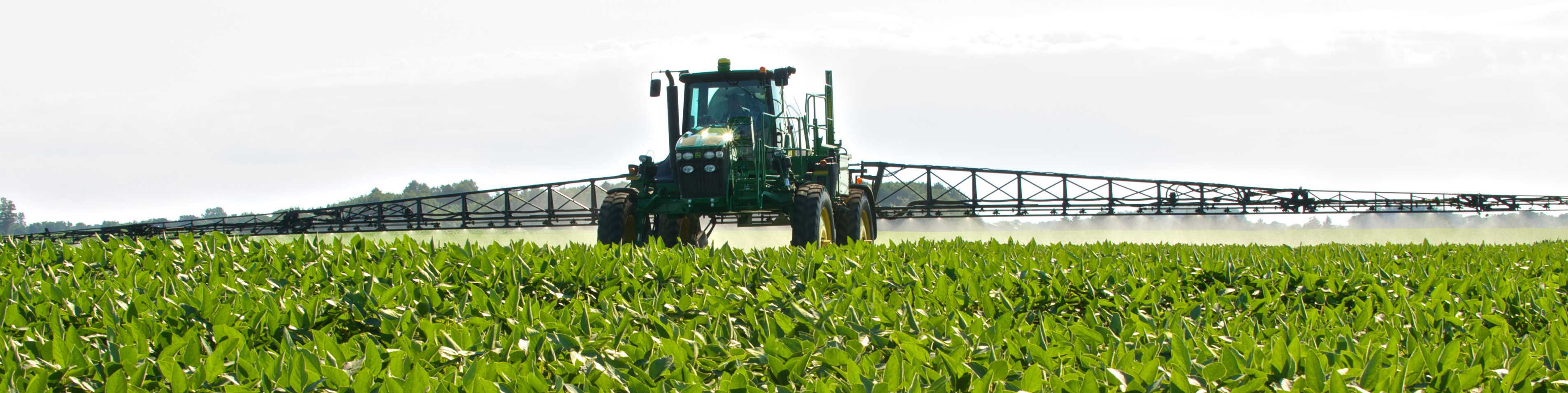 tractor in a soybean field