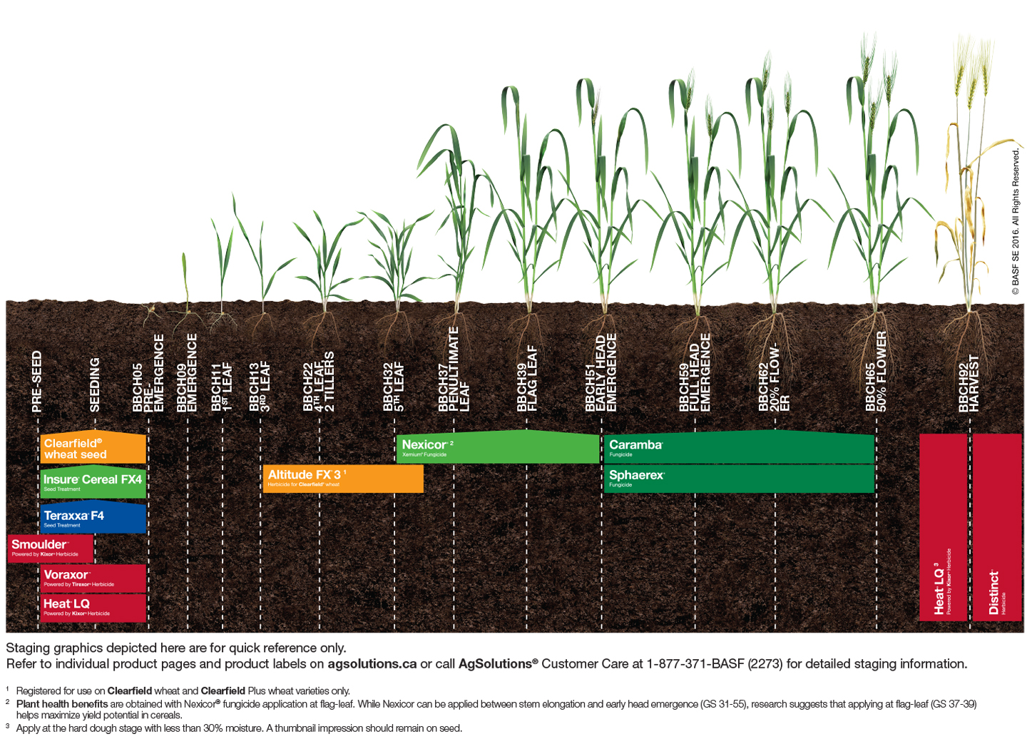 Wheat application staging chart