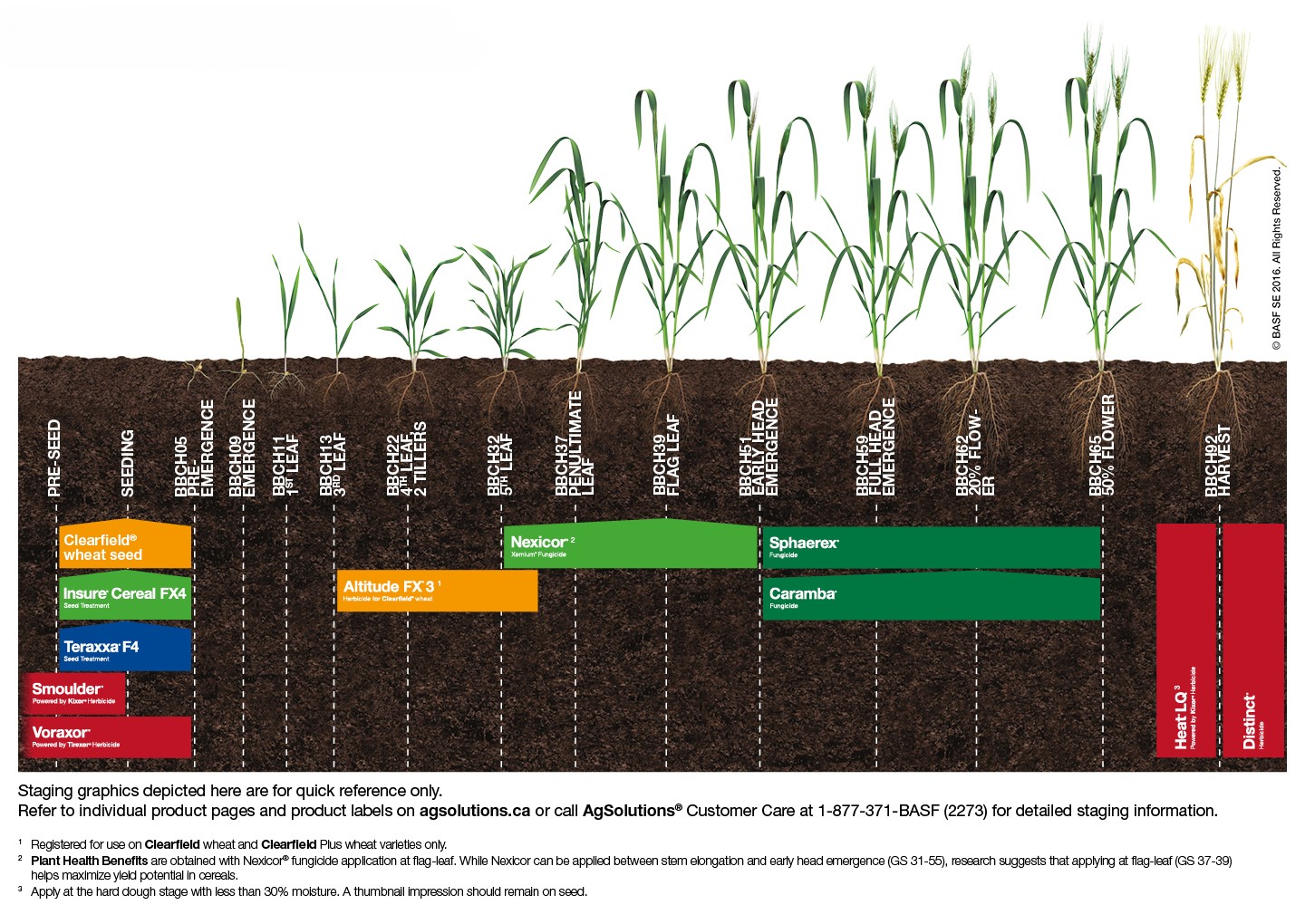 image: Wheat Staging Chart,image: Wheat Staging Chart