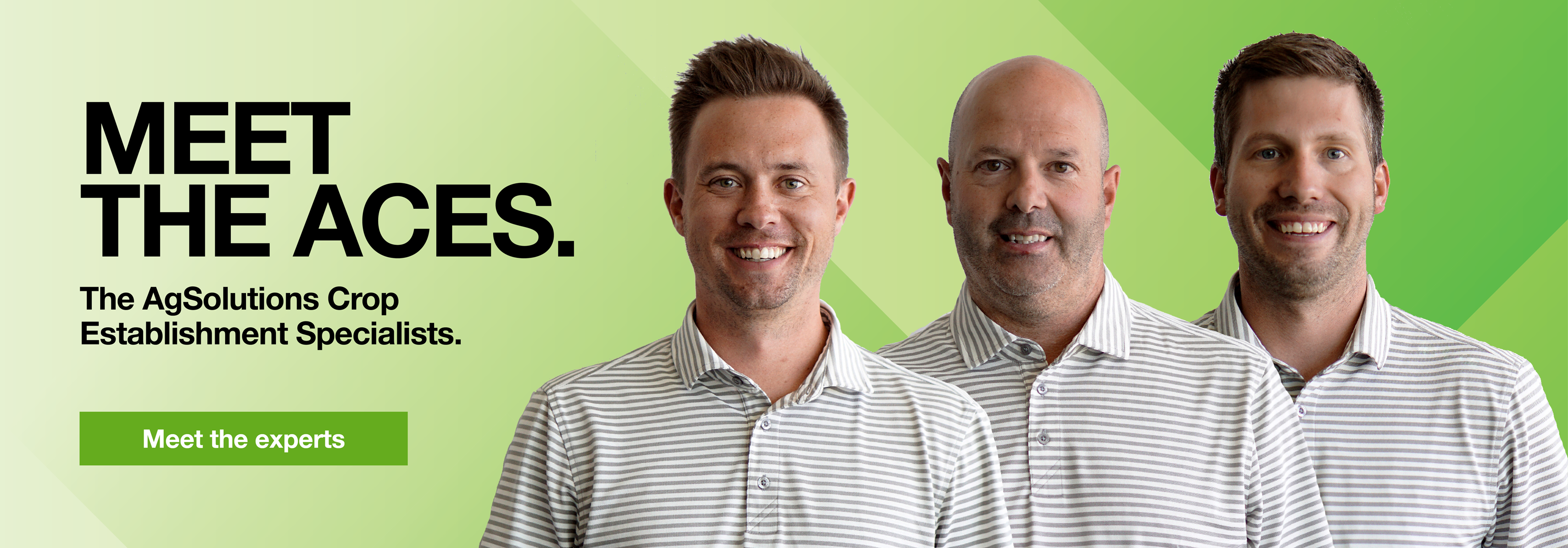 Meet the ACES with a picture of three BASF ACE reps