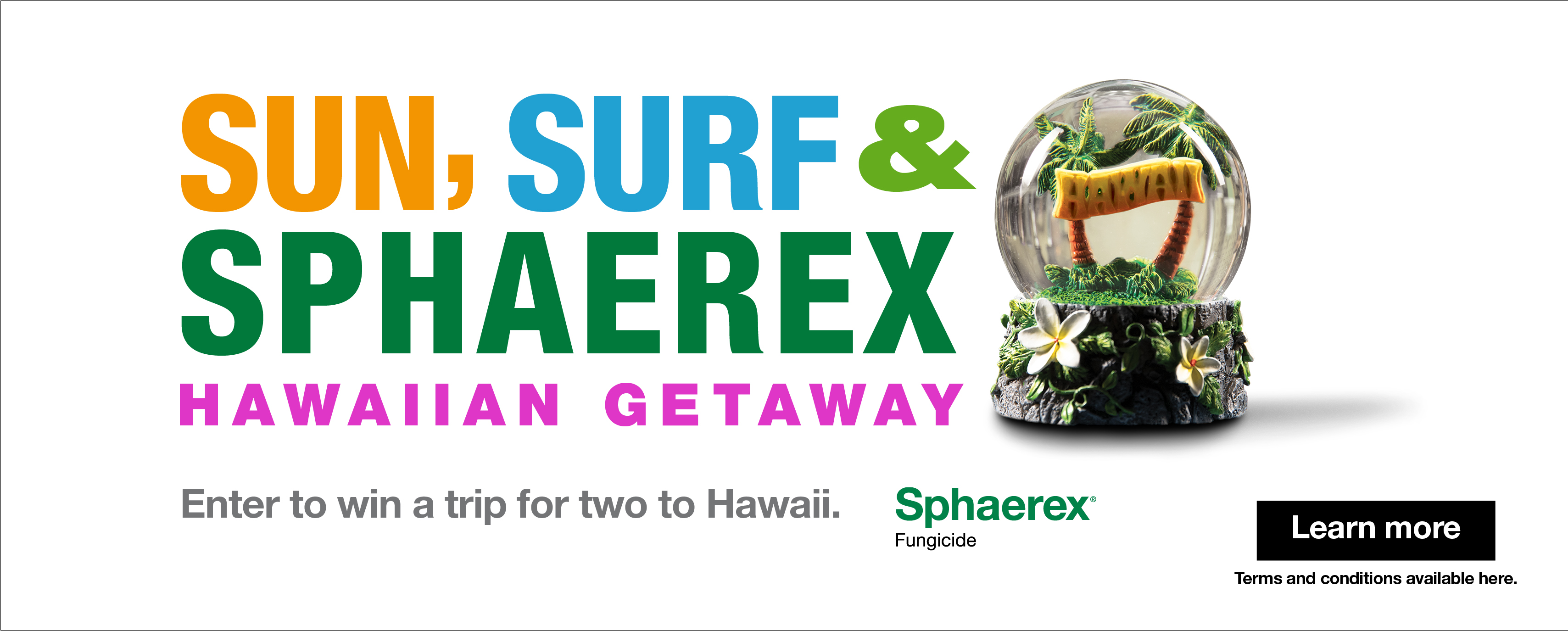 Sun, Surf & Sphaerex Hawaiian Getaway - Learn more