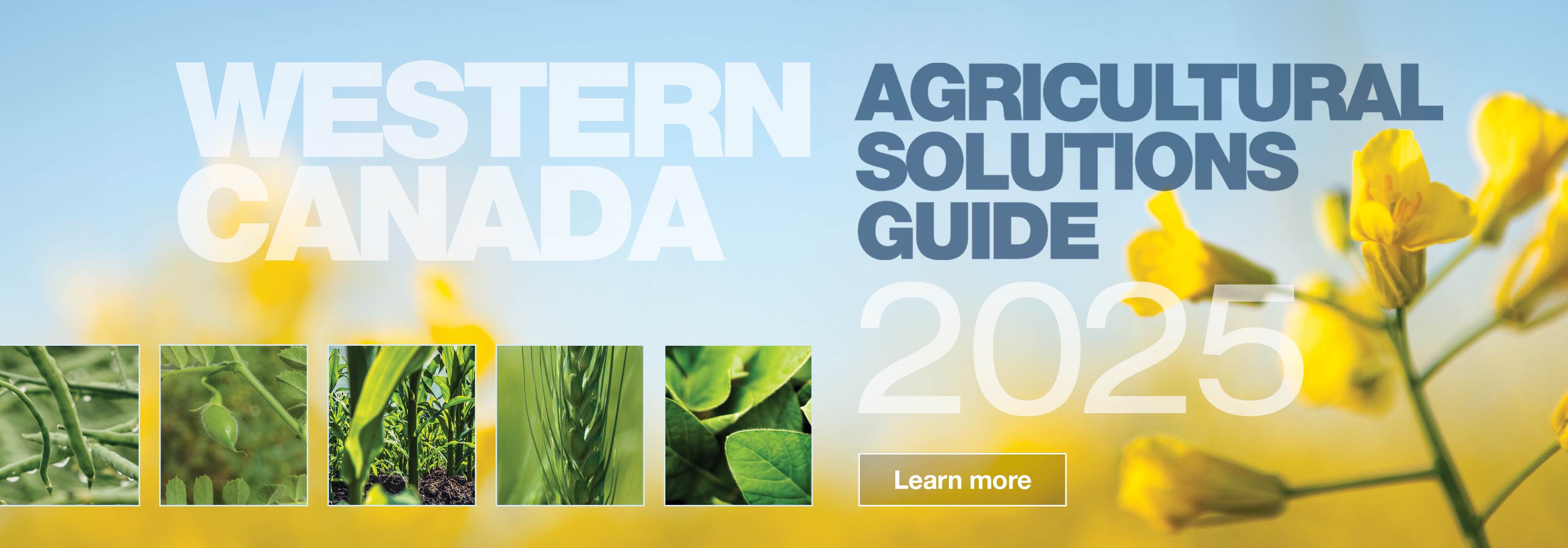 Western Canada Agricultural Solutions Guide, 2025