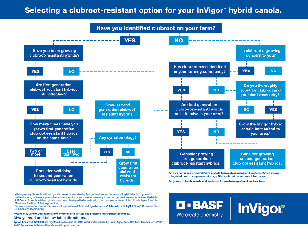 Clubroot-resistant decision tree
