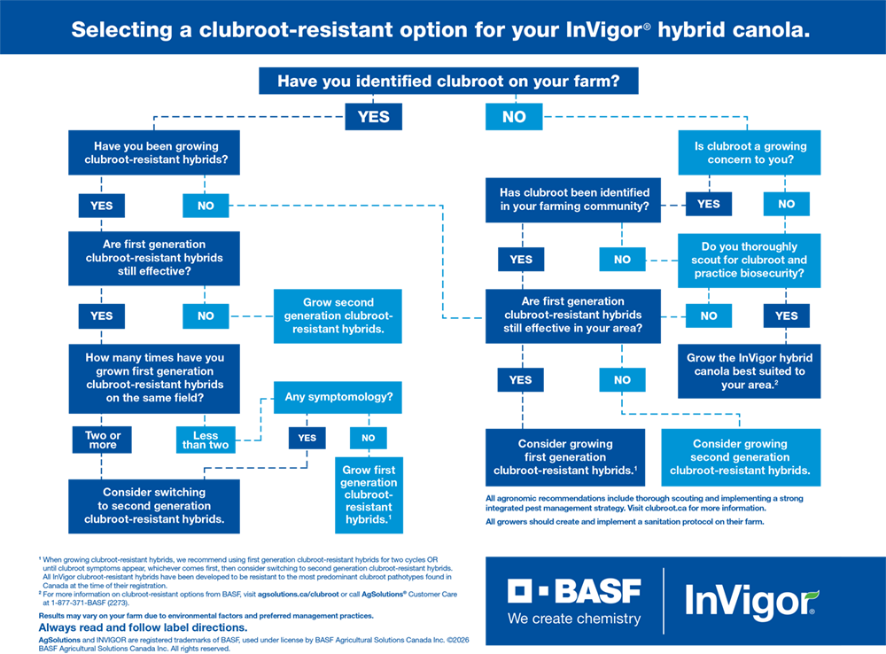 Clubroot-resistant decision tree