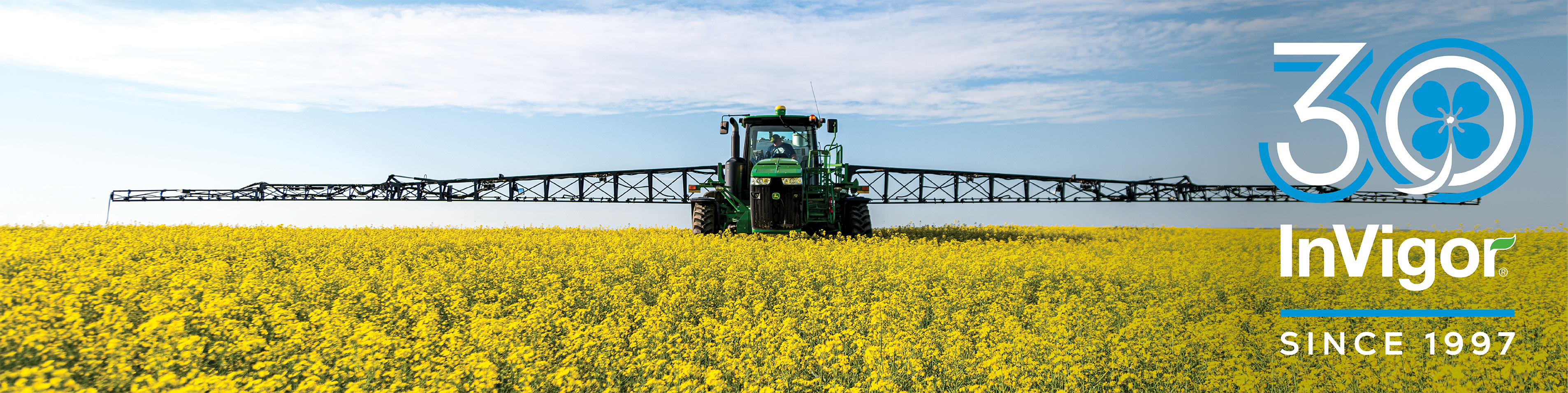 Sprayer driving through canola field