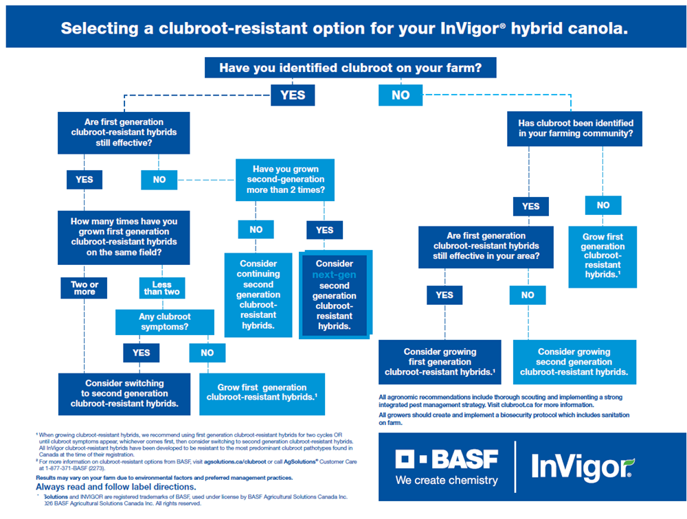 Clubroot-resistant decision tree