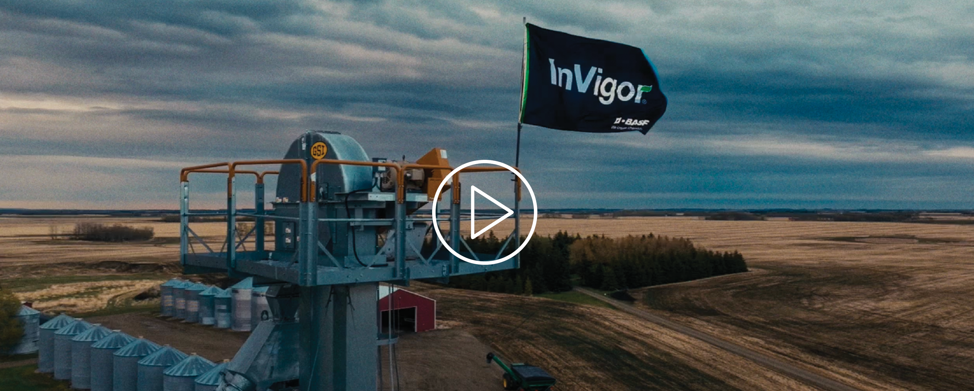 BASF InVigor Hybrid Canola