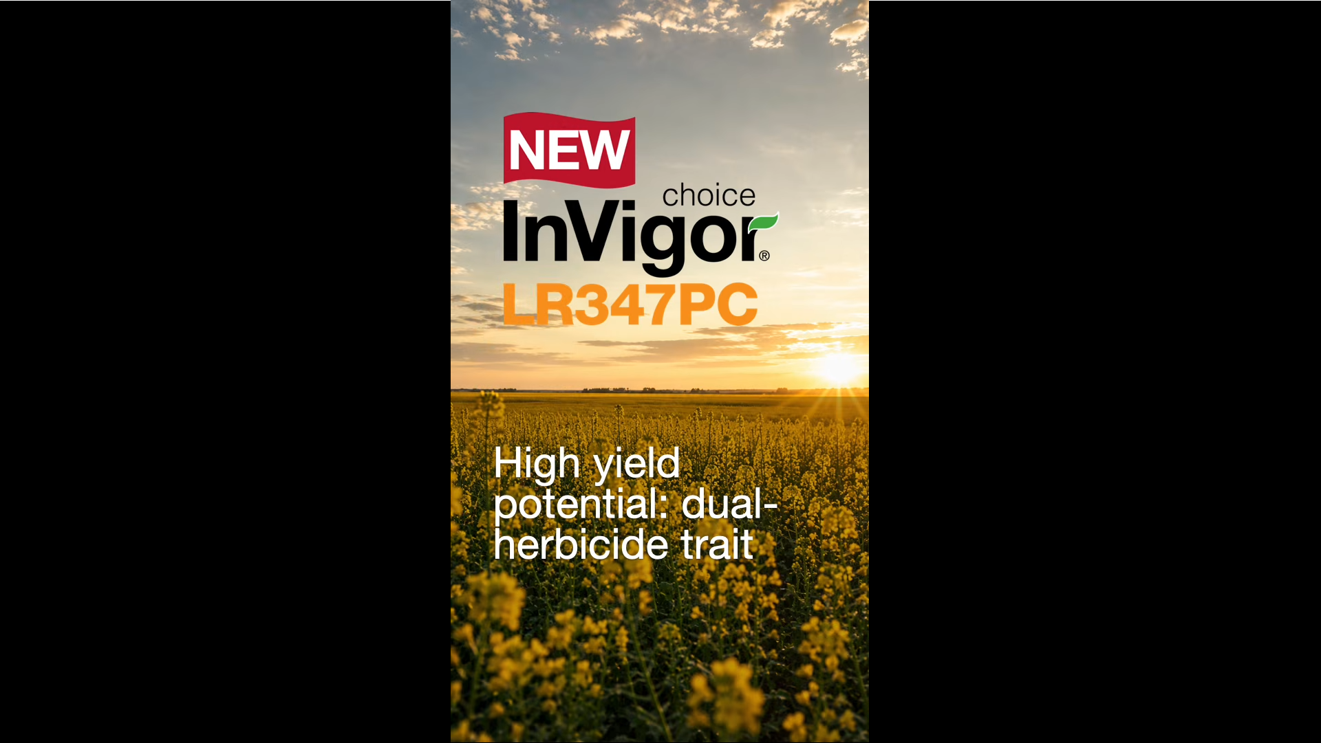 Introducing InVigor L347PC